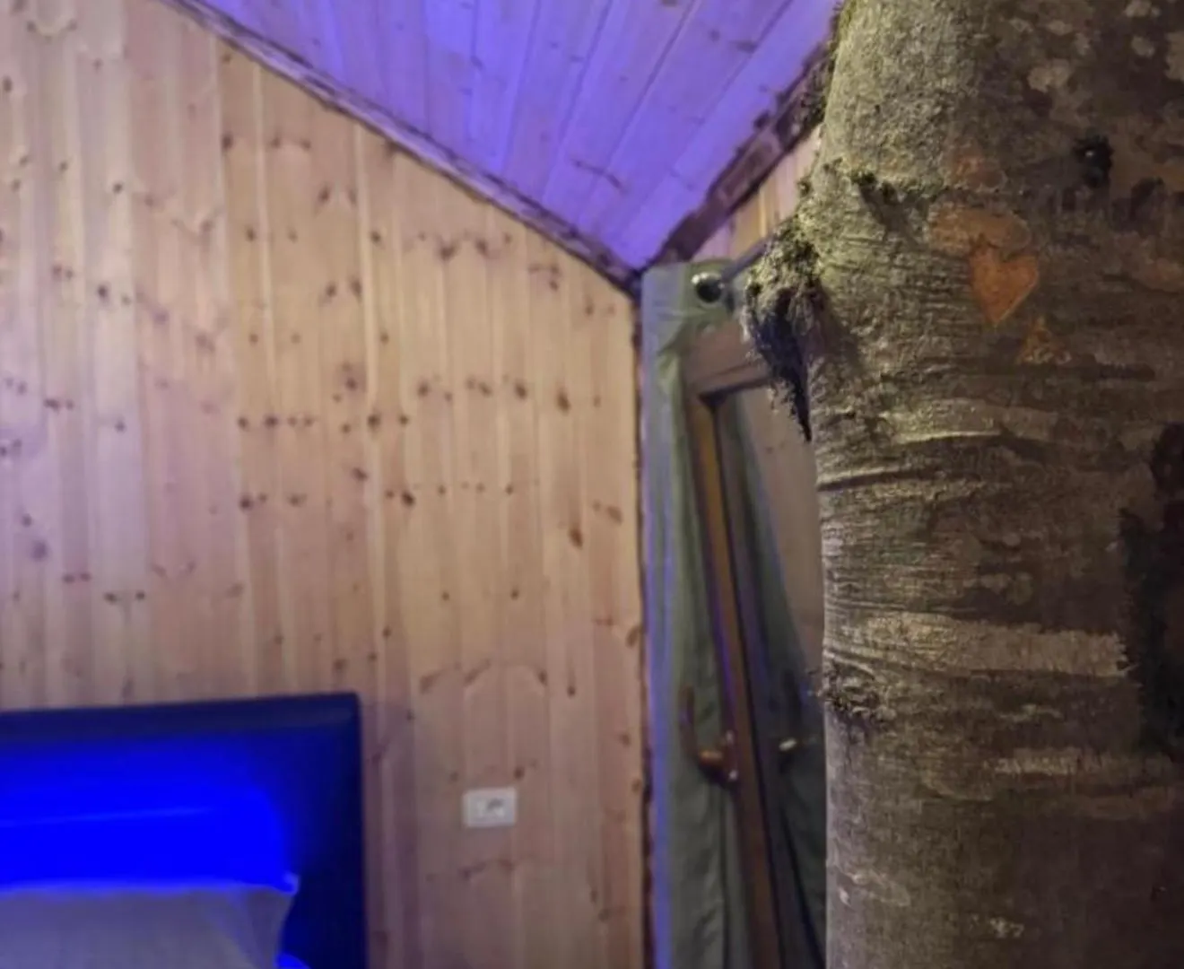 Forest View Villas & Treehouses Valbone Albania