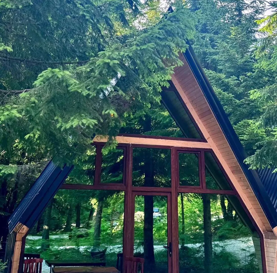 Forest View Villas & Treehouses location